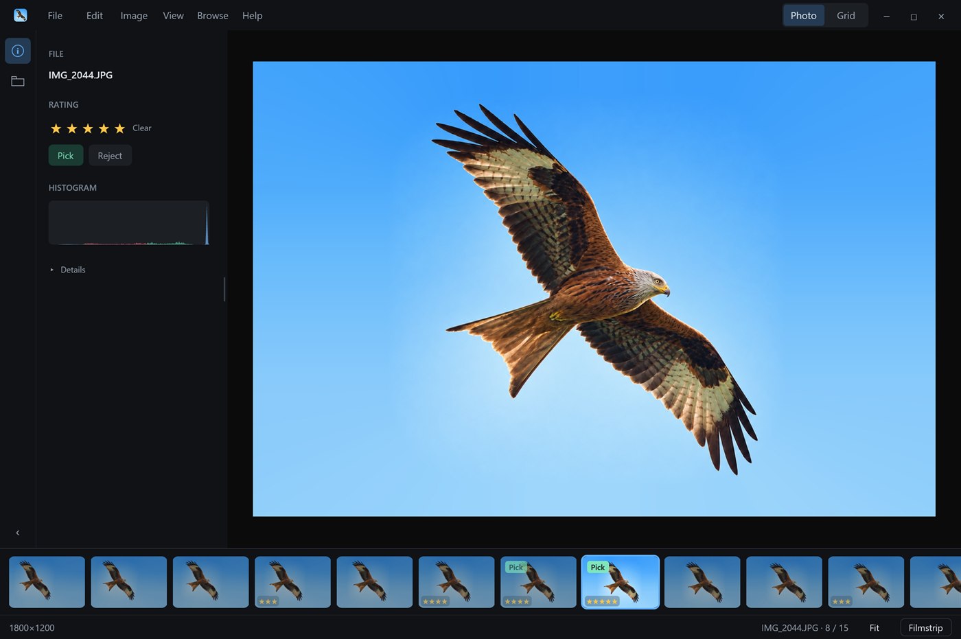 KiteRAW showing a five-star photo of a red kite in flight, with the rating panel on the left and a filmstrip of the burst below